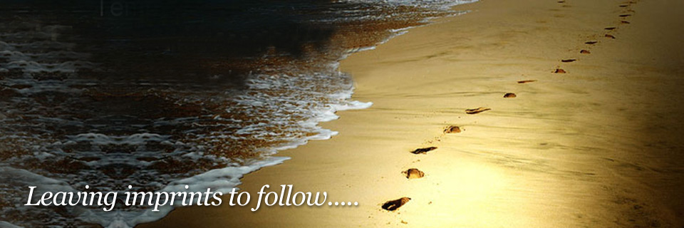 Trend Study - The Emerging Big Returns on Big Data